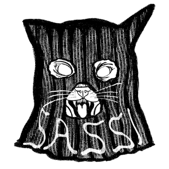 SASSI: Southerners Against Surveillance Systems and Infrastructure 